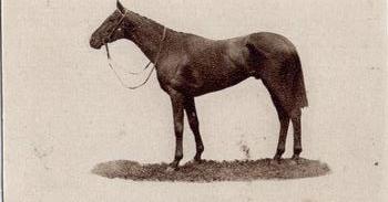 1923 Sandorides Lucana Famous Racehorses #37 Night Hawk Front